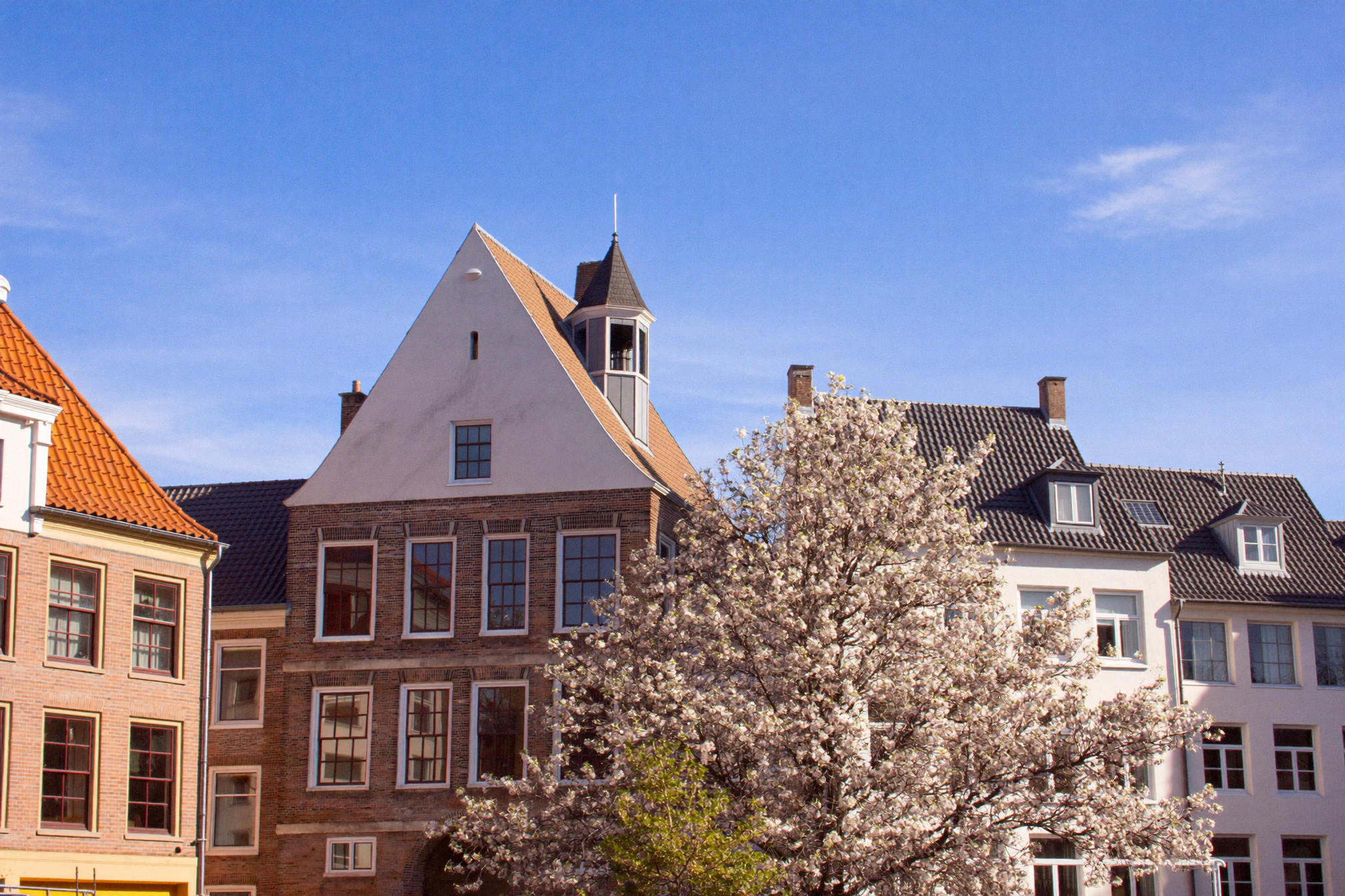 Bia Finance Uitgeest